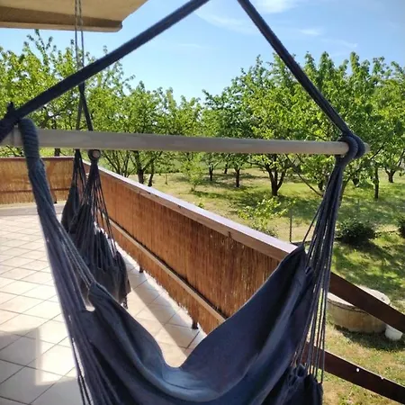 Apartament Siedlisko Jelonki *