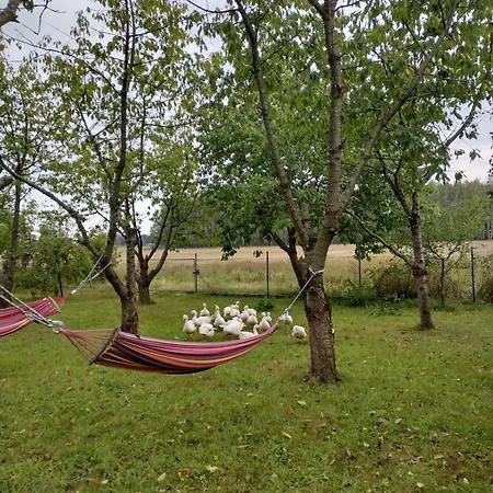 Siedlisko Jelonki